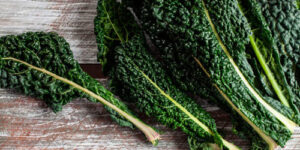 cavolo nero