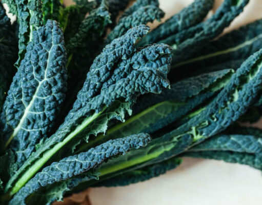 Il cavolo nero